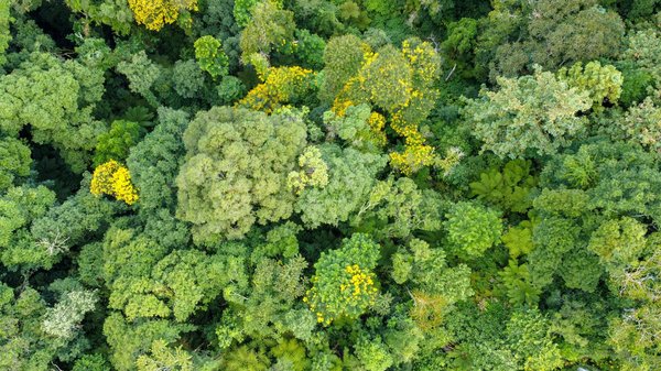 Le tourisme rural au Mexique : Explorez les charmants villages et les traditions authentiques