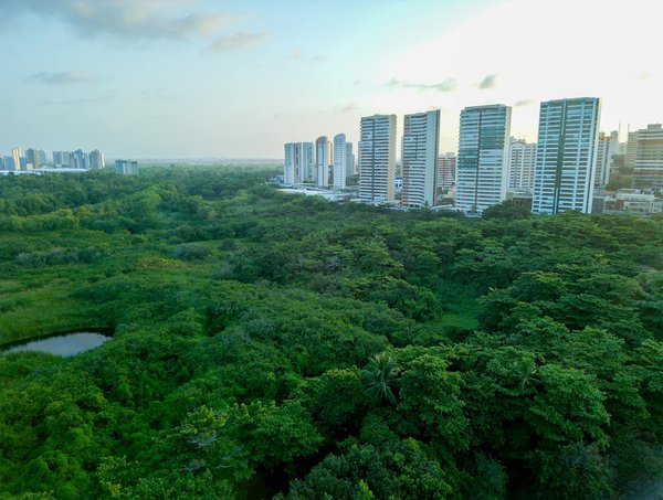 Comment Profiter au Maximum de la Nature dans un Camping Nature & Résidence Loisirs ?