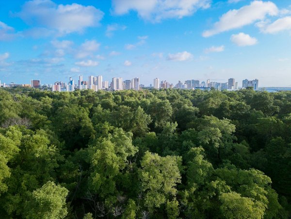 Compte bancaire pour ado: comprendre l'intérêt