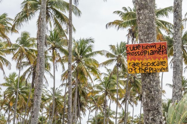 Les compléments alimentaires pour se nettoyer le foie
